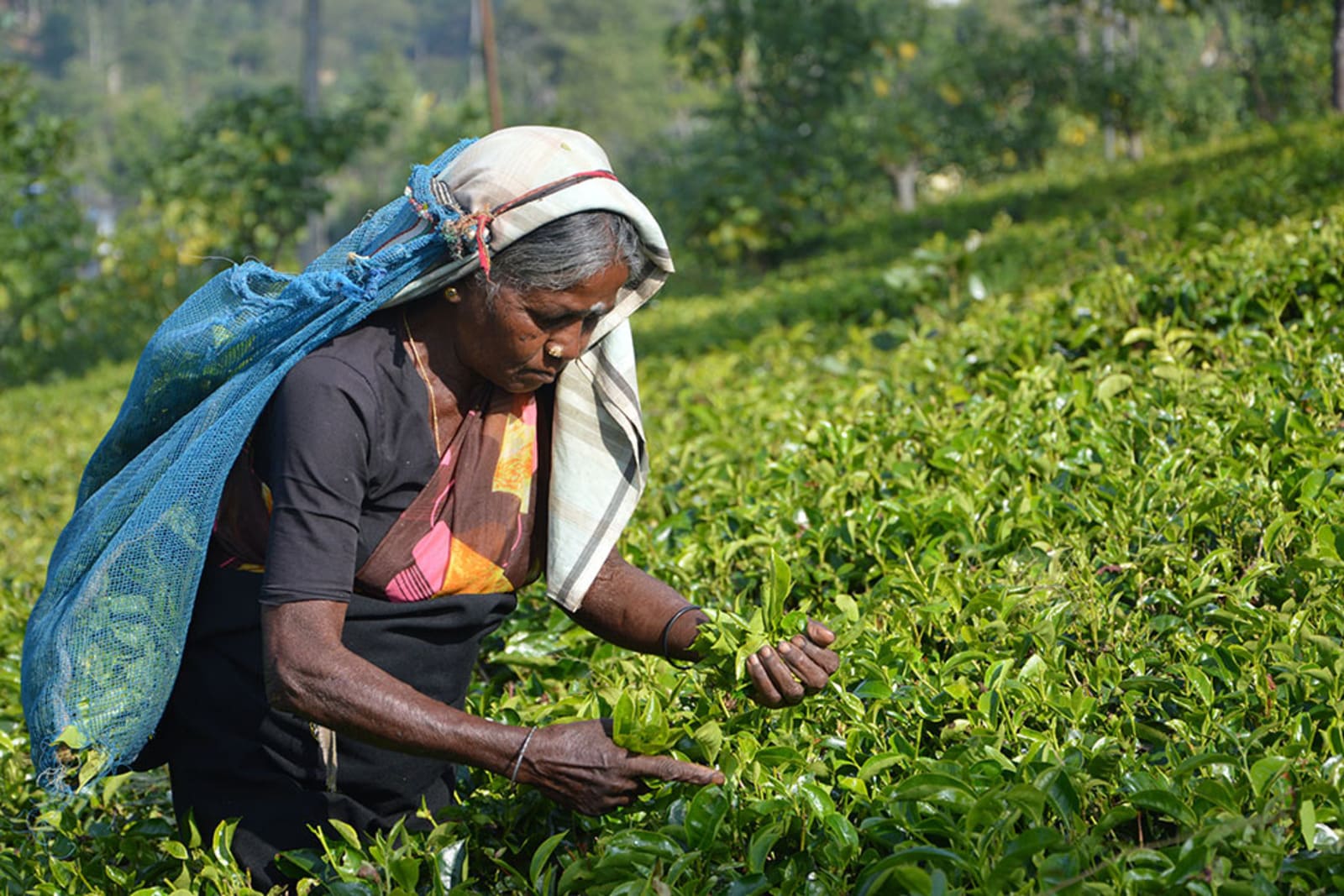 Colombo Airport to Ahangama Taxi 1