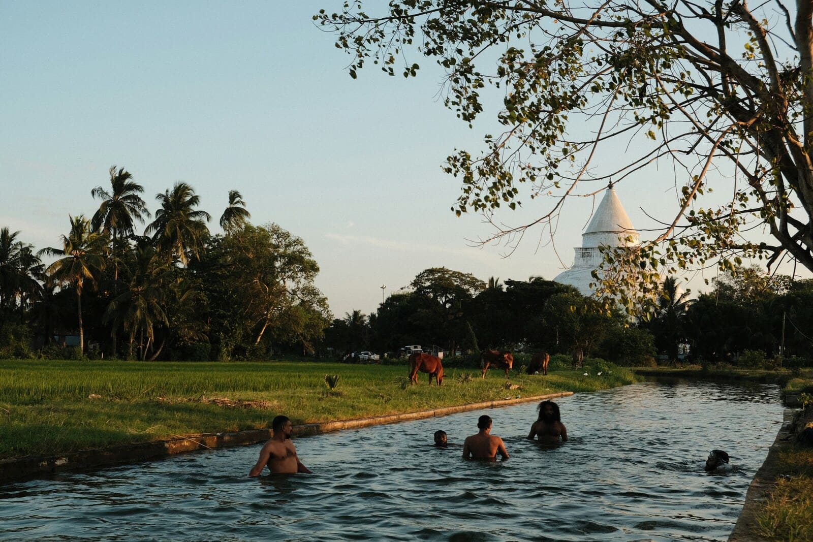 Colombo Airport to Tissamaharama Taxi 2